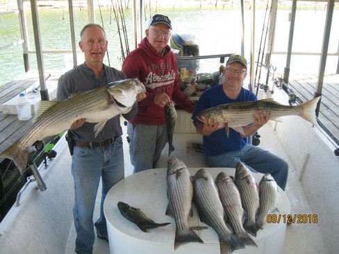 Nice Striped Bass